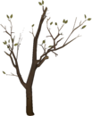 Tree #1