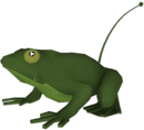 Spytech Frog